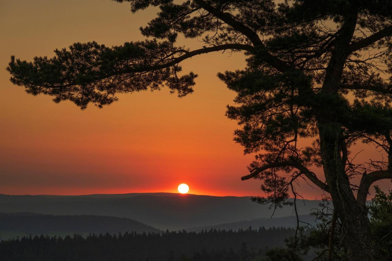 Pensjonat Orle Krynica-Zdrój Esterno foto