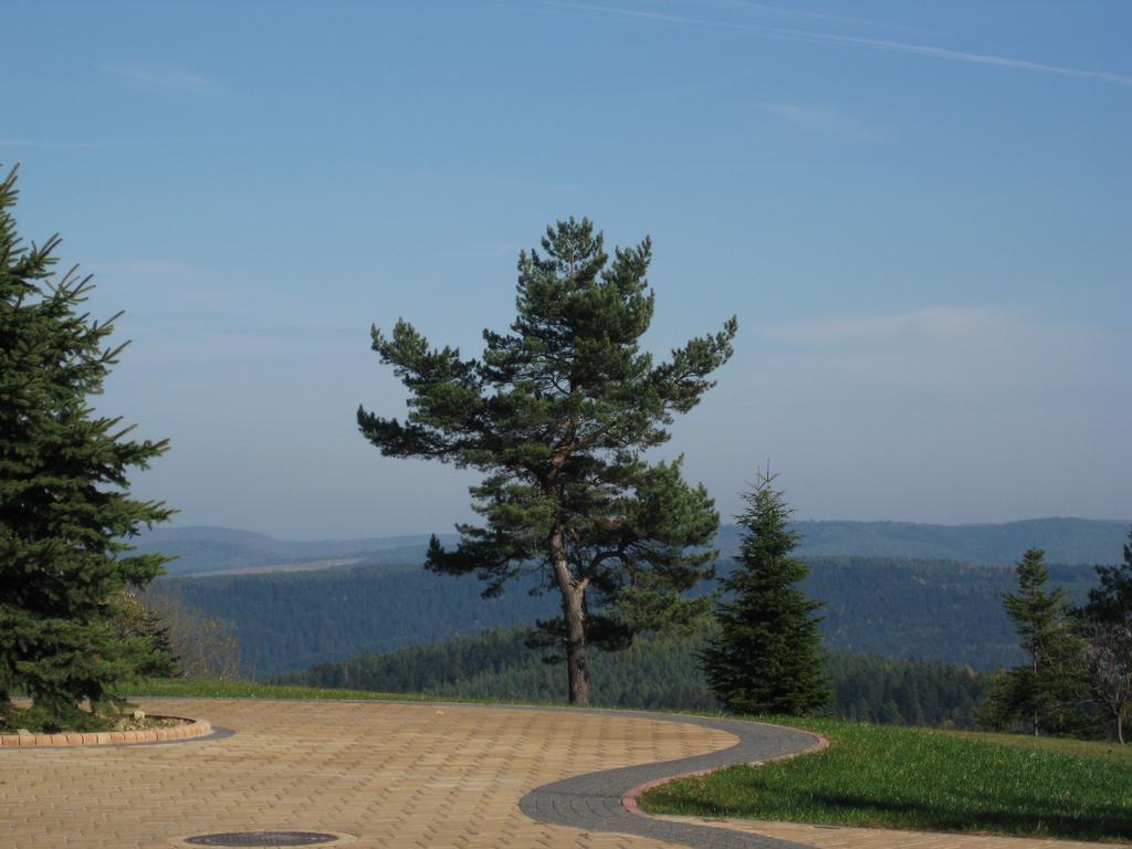 Pensjonat Orle Krynica-Zdrój Esterno foto