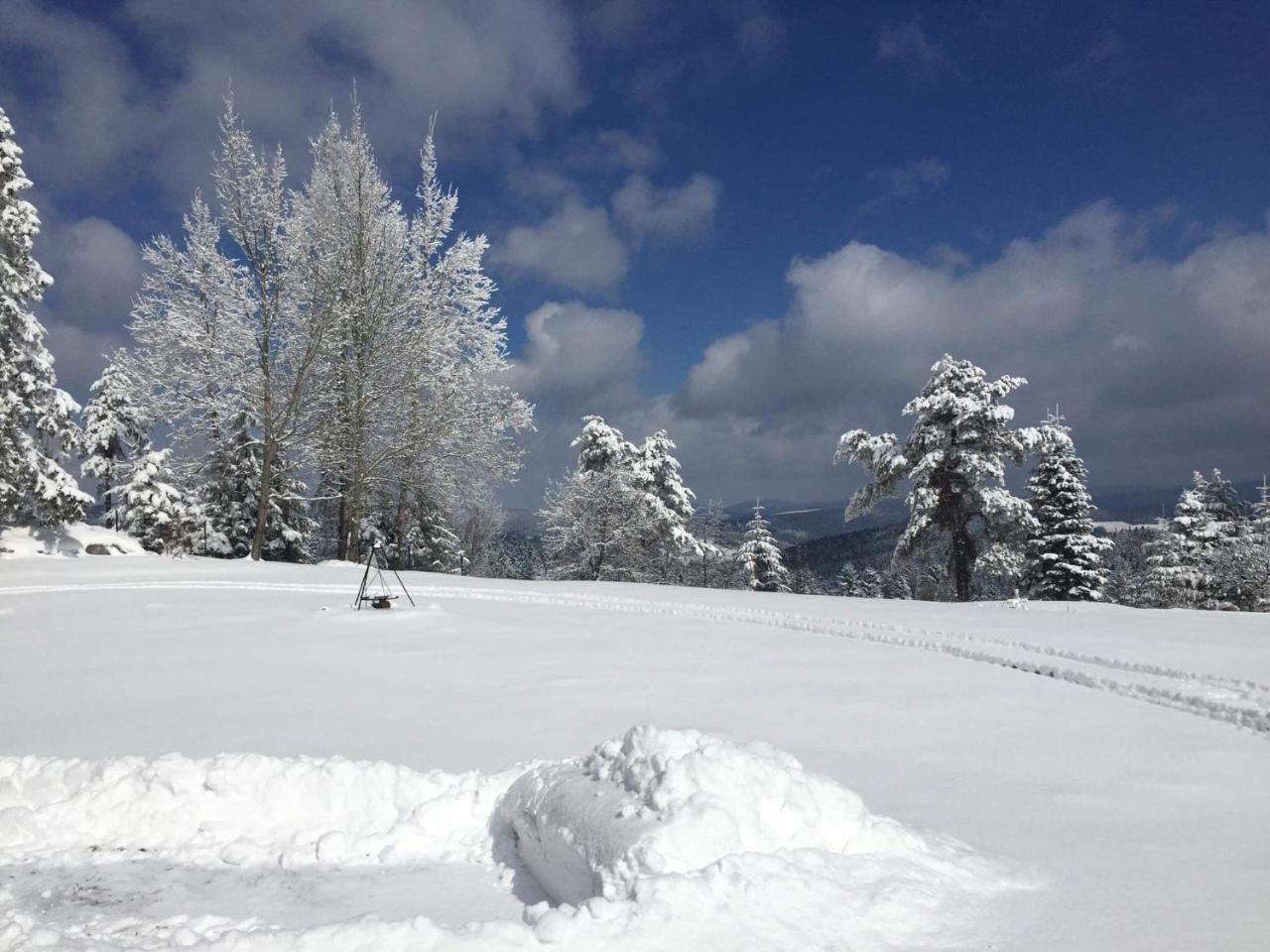 Pensjonat Orle Krynica-Zdrój Esterno foto