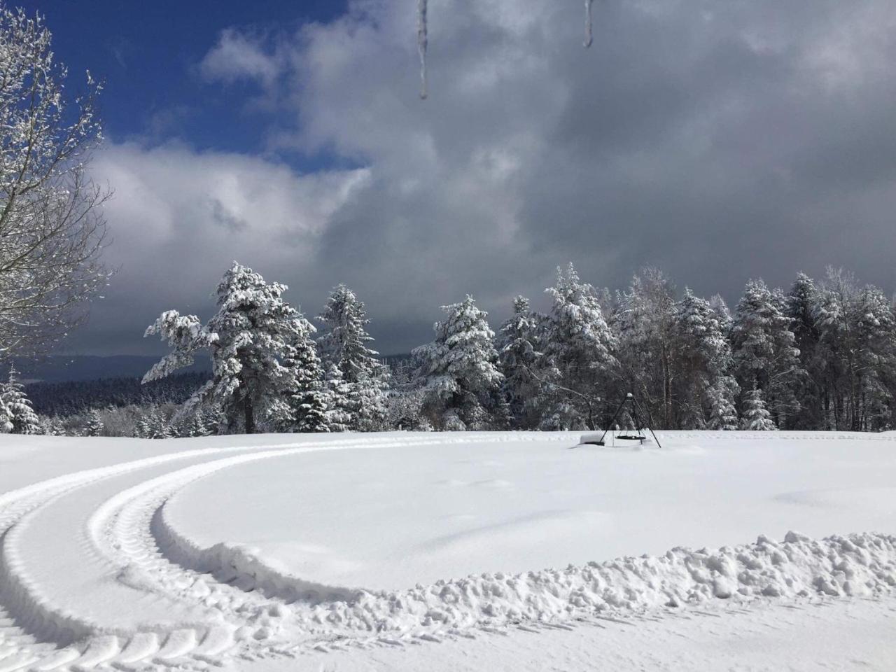 Pensjonat Orle Krynica-Zdrój Esterno foto